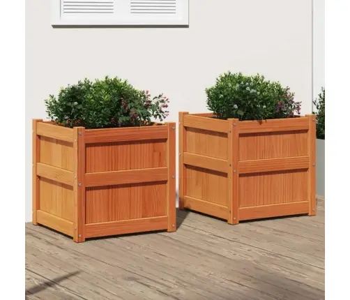 Aia Taimekastid 2 Tk, Vahapruun, Männipuit