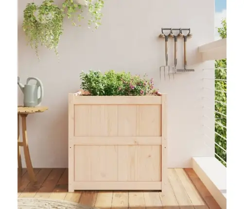 Aia Taimekast, 70 X 70 X 70 cm Männipuit