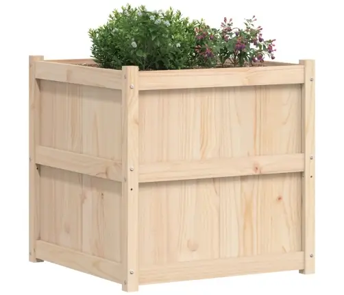 Aia Taimekast, 70 X 70 X 70 cm Männipuit