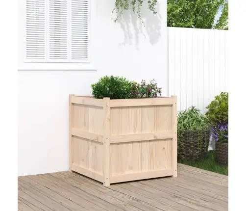 Aia Taimekast, 70 X 70 X 70 cm Männipuit