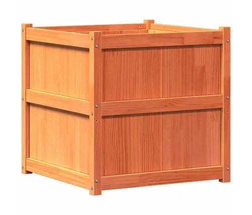 Dārza Puķu Kaste, Vaska Brūnas, 70X70X70 Cm, Priedes Masīvkoks Vidaxl