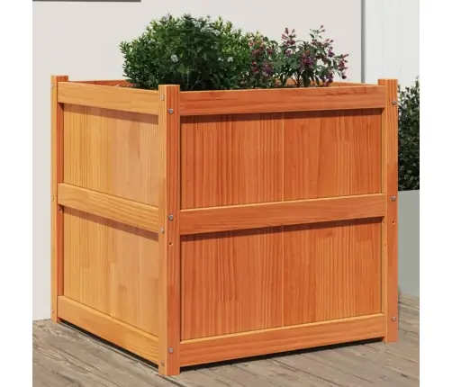 Dārza Puķu Kaste, Vaska Brūnas, 70X70X70 Cm, Priedes Masīvkoks Vidaxl