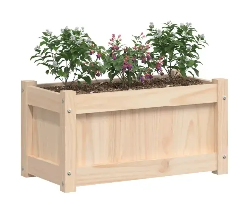 Dārza Puķu Kaste, 60X31X31 Cm, Priedes Masīvkoks Vidaxl