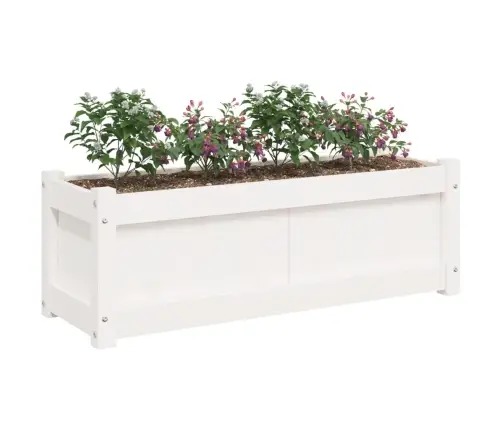 Taimekast, Valge, 90 X 31 X 31 cm Männipuit