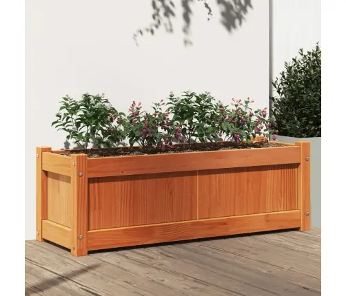 Aia Taimekast, Vahapruun, 90 X 31 X 31 cm Männipuit