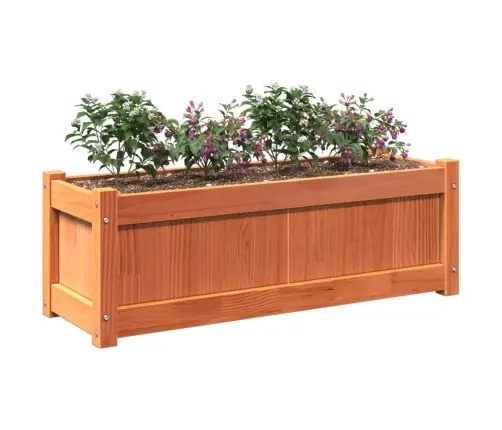 Dārza Puķu Kastes, 2 Gab., Vaska Brūnas, Priedes Masīvkoks Vidaxl