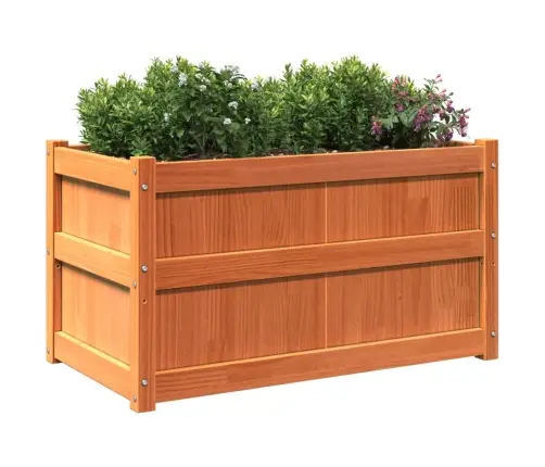 Dārza Puķu Kastes, 2 Gab., Vaska Brūnas, Priedes Masīvkoks Vidaxl