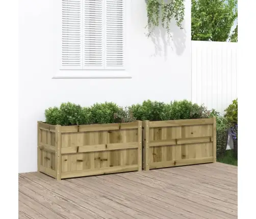 Aia Taimekastid 2 Tk, Immutatud Männipuit