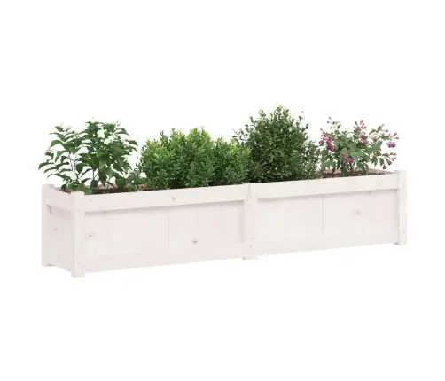 Dārza Puķu Kaste, Balta, 150X31X31 Cm, Priedes Masīvkoks Vidaxl