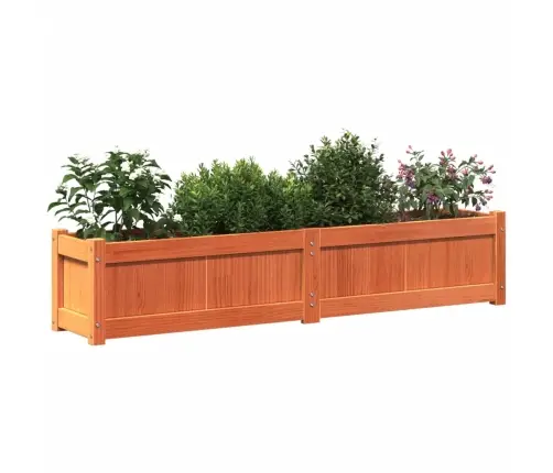 Aia Taimekastid 2 Tk, Vahapruun, Männipuit