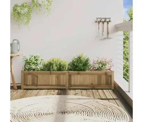 Aia Taimekast, 150 X 31 X 31 cm Immutatud Männipuit