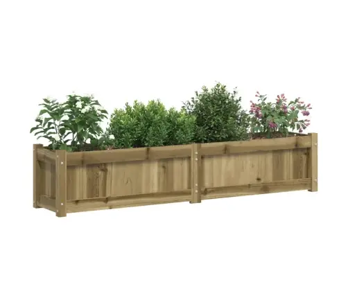 Aia Taimekast, 150 X 31 X 31 cm Immutatud Männipuit