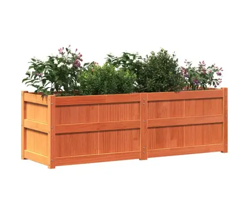 Sodo Lovelis, Vaško Rudas, 150X50X50cm Pušies Medienos Masyvas