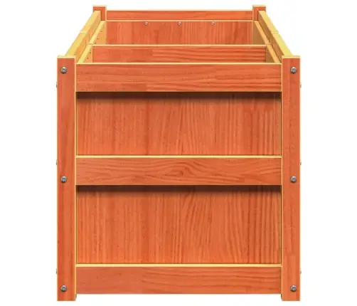 Sodo Lovelis, Vaško Rudas, 150X50X50cm Pušies Medienos Masyvas