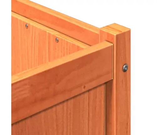 Sodo Lovelis, Vaško Rudas, 150X50X50cm Pušies Medienos Masyvas