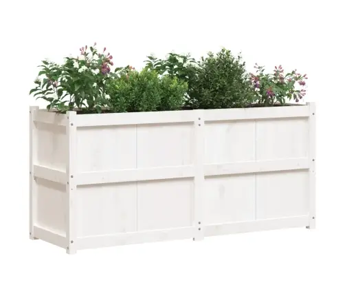 Aia Taimekast, Valge, 150 X 50 X 70 cm Männipuit