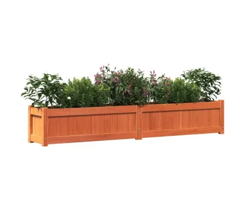 Aia Taimekastid 2 Tk, Vahapruun, Männipuit