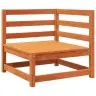 Dvivietė Sodo Sofa, Vaško Ruda, Pušies Masyvas