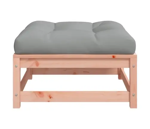 Aia Jalapink Padjaga, Ebatsuuga Puit