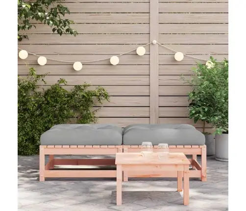 Dārza Soliņi Ar Matračiem, 2 Gab., Duglasa Egles Masīvkoks Vidaxl