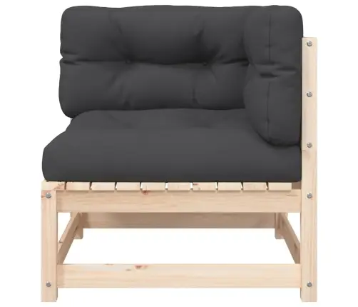 2-Vietīgs Dārza Dīvāns Ar Spilveniem, Priedes Masīvkoks Vidaxl