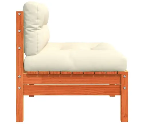 Sodo Sofos Dalys Su Pagalvėlėmis, 2Vnt., Vaško Rudos, Pušis