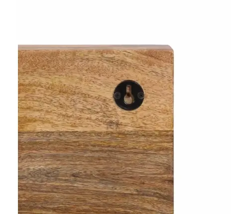 Seinale Kinnitatav Riidenagi 5 Konksuga, Mangopuit