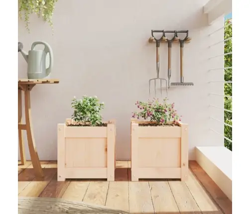 Aia Taimekastid 2 Tk, Männipuit