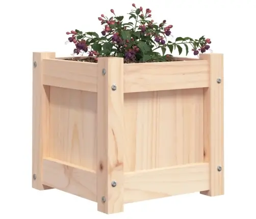 Aia Taimekastid 2 Tk, Männipuit