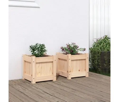 Aia Taimekastid 2 Tk, Männipuit