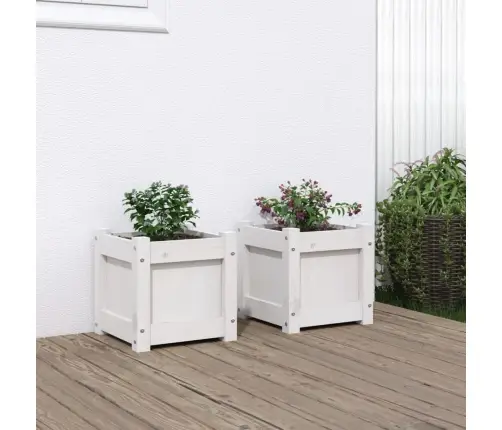Dārza Puķu Kastes, 2 Gab., Balta, Priedes Masīvkoks Vidaxl