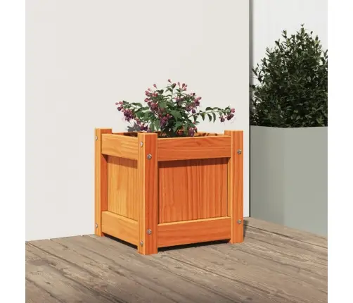 Sodo Lovelis, Vaško Rudas, 31X31X31cm Pušies Medienos Masyvas