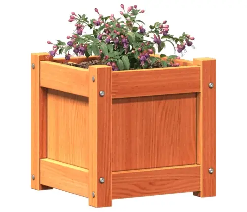 Sodo Lovelis, Vaško Rudas, 31X31X31cm Pušies Medienos Masyvas