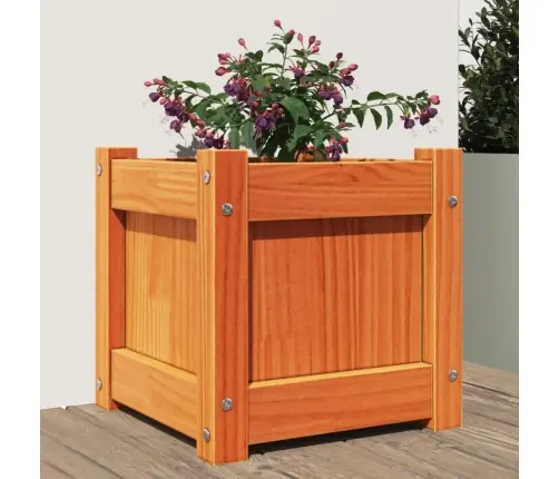 Sodo Lovelis, Vaško Rudas, 31X31X31cm Pušies Medienos Masyvas