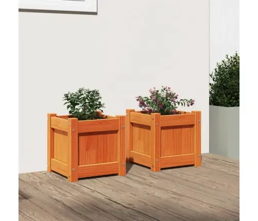 Dārza Puķu Kastes, 2 Gab., Vaska Brūnas, Priedes Masīvkoks Vidaxl