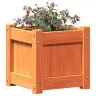 Dārza Puķu Kastes, 2 Gab., Vaska Brūnas, Priedes Masīvkoks Vidaxl