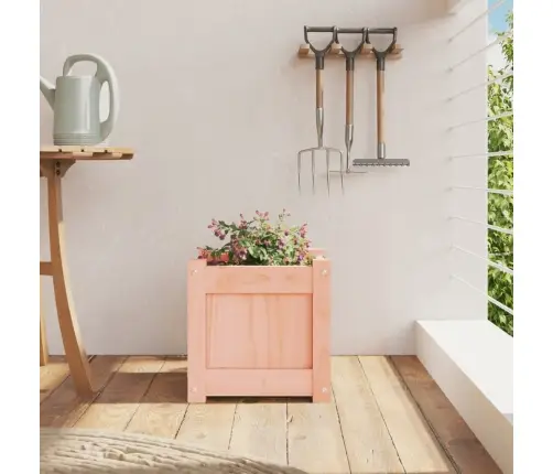 Dārza Puķu Kaste, 31X31X31 Cm, Duglasa Egles Masīvkoks Vidaxl