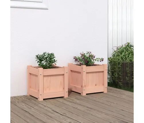 Sodo Loveliai, 2Vnt., Douglas Eglės Medienos Masyvas