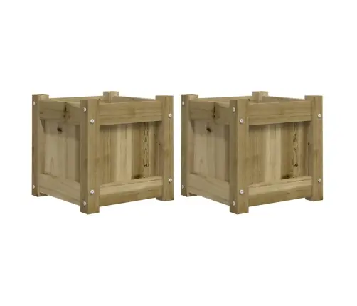 Aia Taimekastid 2 Tk, Immutatud Männipuit