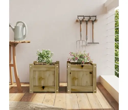 Aia Taimekastid 2 Tk, Immutatud Männipuit