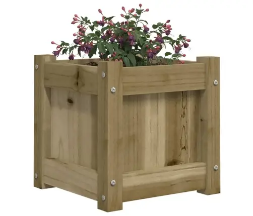 Aia Taimekastid 2 Tk, Immutatud Männipuit