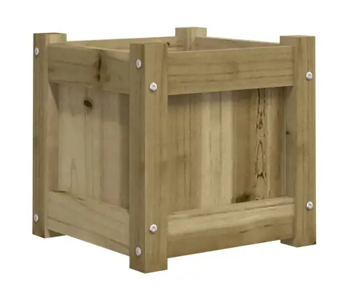 Aia Taimekastid 2 Tk, Immutatud Männipuit