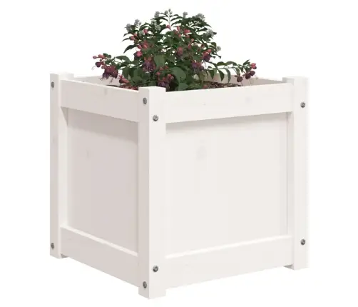 Dārza Puķu Kaste, Balts, 40X40X40 Cm, Priedes Masīvkoks Vidaxl