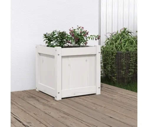 Dārza Puķu Kaste, Balts, 40X40X40 Cm, Priedes Masīvkoks Vidaxl