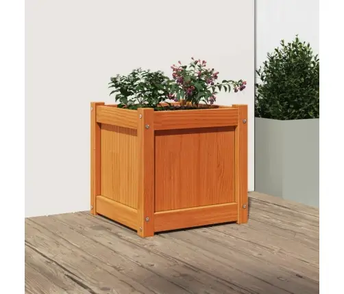 Dārza Puķu Kaste, Vaska Brūnas, 40X40X40 Cm, Priedes Masīvkoks Vidaxl