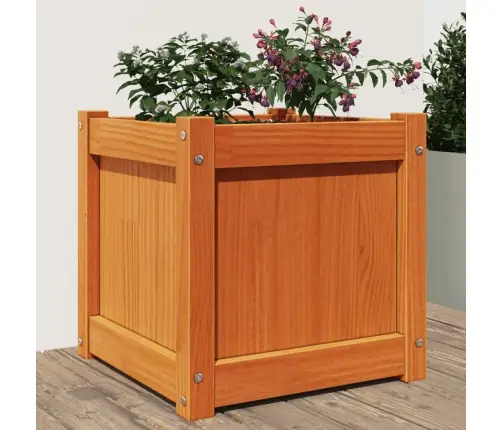 Dārza Puķu Kaste, Vaska Brūnas, 40X40X40 Cm, Priedes Masīvkoks Vidaxl