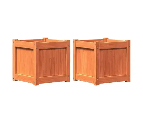 Sodo Loveliai, 2Vnt., Vaško Rudi, Pušies Medienos Masyvas