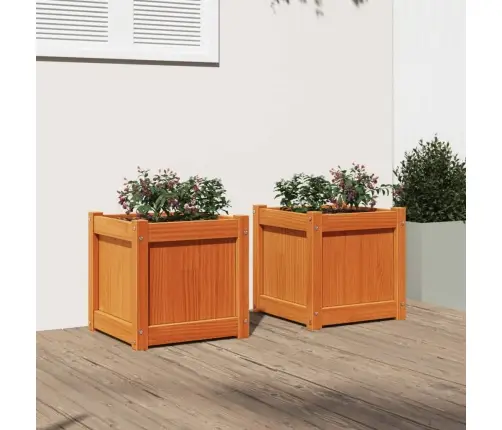 Sodo Loveliai, 2Vnt., Vaško Rudi, Pušies Medienos Masyvas