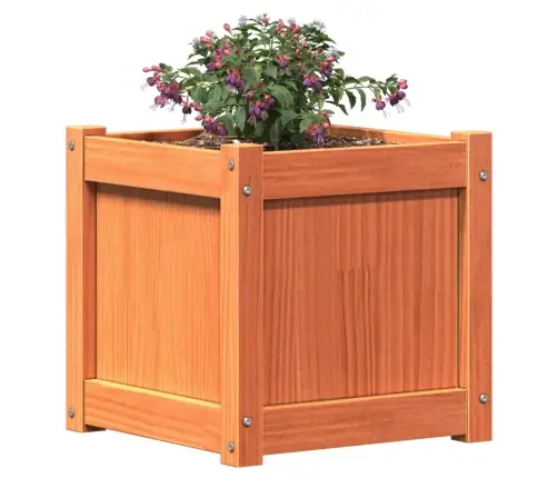 Sodo Loveliai, 2Vnt., Vaško Rudi, Pušies Medienos Masyvas