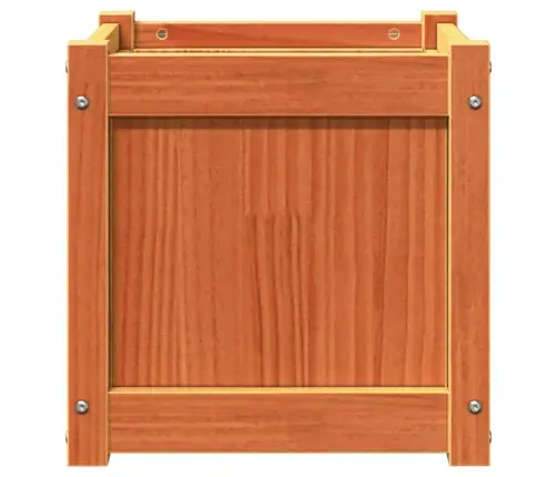 Sodo Loveliai, 2Vnt., Vaško Rudi, Pušies Medienos Masyvas